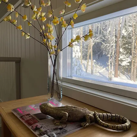 بيت للعطل Spacious House In تريسيل