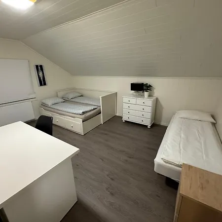 Holiday home Spacious House In Trysil